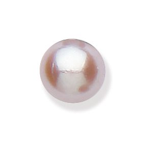 Coloured Classic Pearl and Silver Studs - Image 6